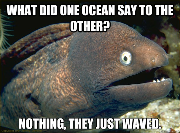 What did one ocean say to the other? nothing, they just waved.  Bad Joke Eel