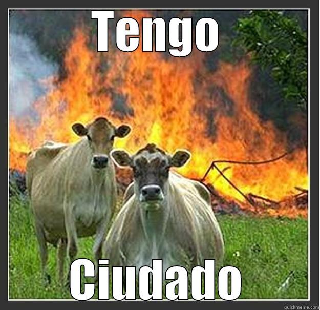 TENGO CIUDADO Evil cows