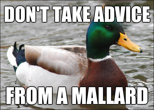Don't take advice from a mallard  Actual Advice Mallard