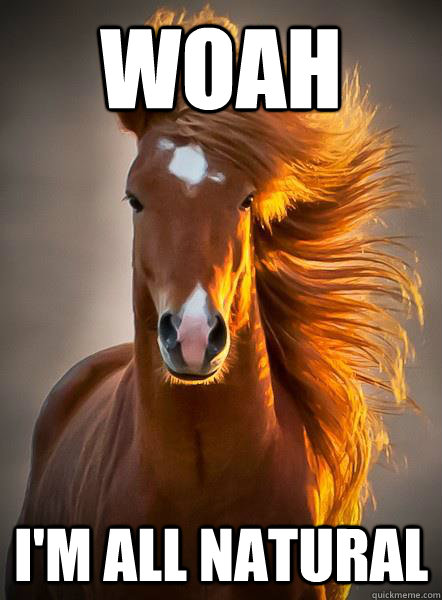 woah i'm all natural - woah i'm all natural  Ridiculously Photogenic Horse