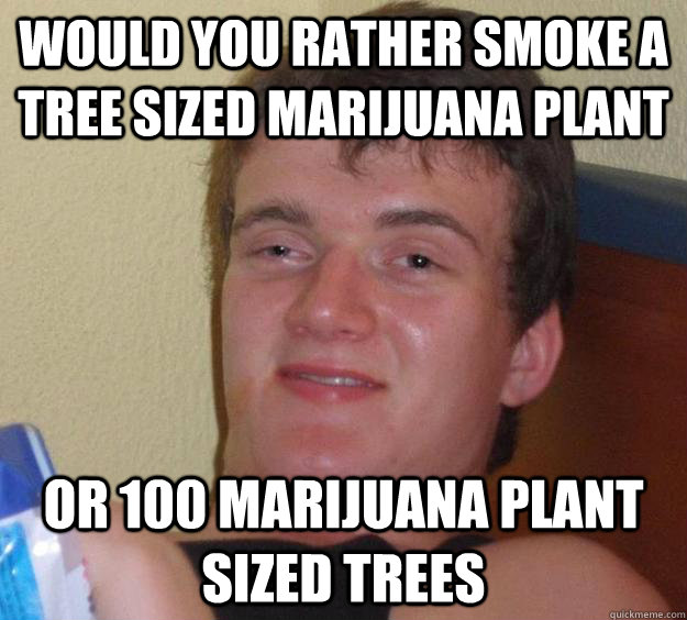 Would you rather smoke a tree sized marijuana plant or 100 marijuana plant sized trees  10 Guy