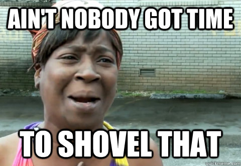 Ain't nobody got time  to shovel that  aint nobody got time