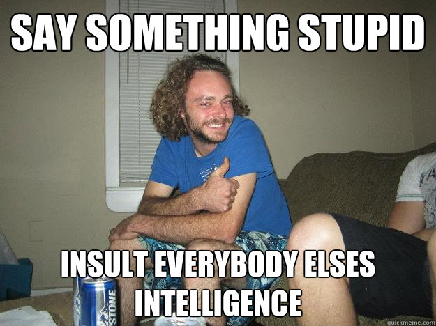 say something stupid insult everybody elses intelligence  