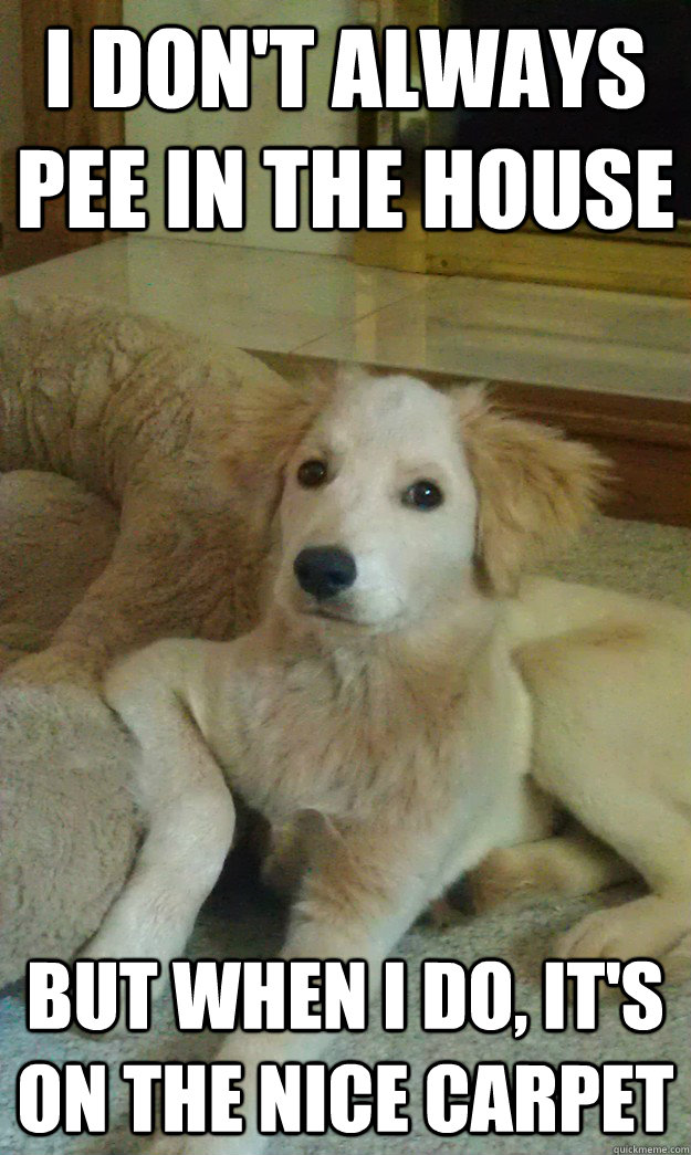 I don't always pee in the house But when I do, it's on the nice carpet