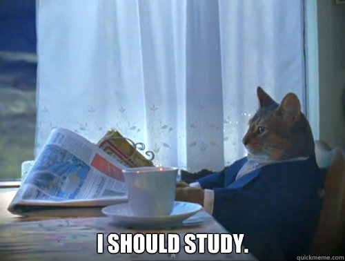  I should study.   The One Percent Cat