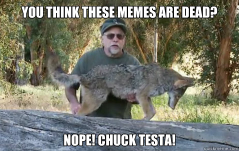 You think these memes are dead?
 NOPE! chuck testa!  