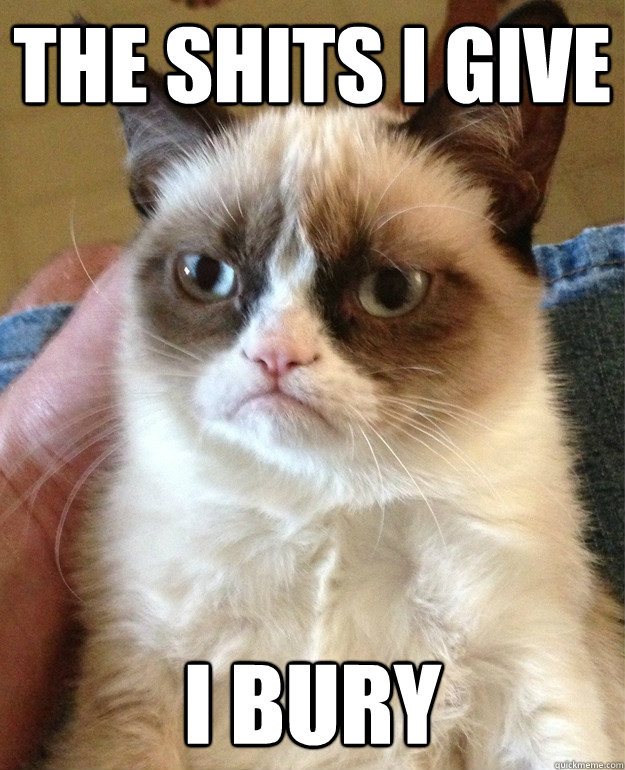 the shits i give i bury  Grumpy Cat