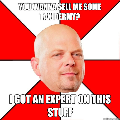 you wanna sell me some taxidermy? i got an expert on this stuff  Pawn Star