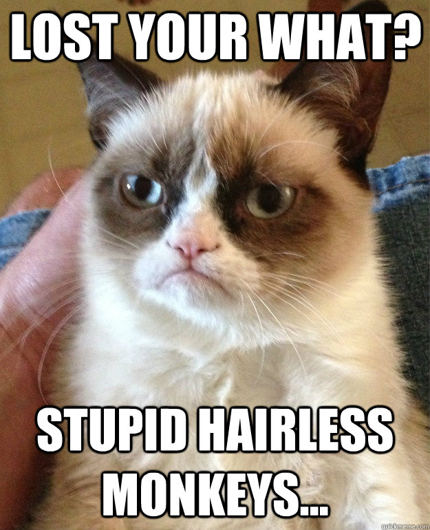 Lost your What? Stupid Hairless monkeys...  Grumpy Cat