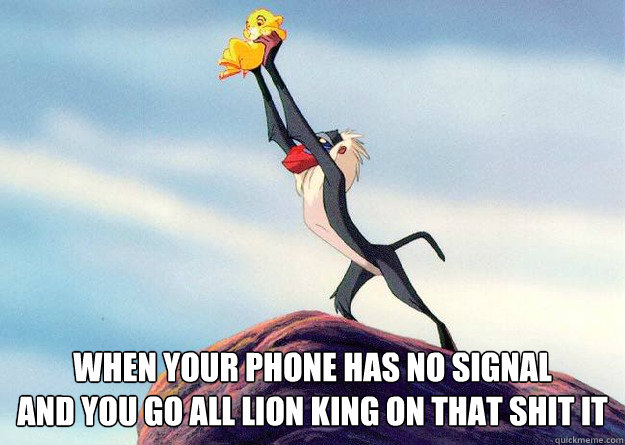  When your phone has no signal 
and you go all lion king on that shit it   