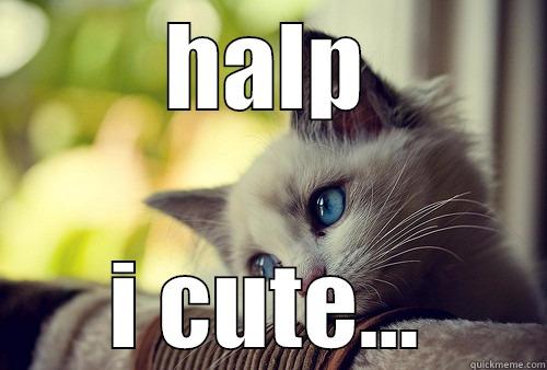 HALP I CUTE... First World Problems Cat