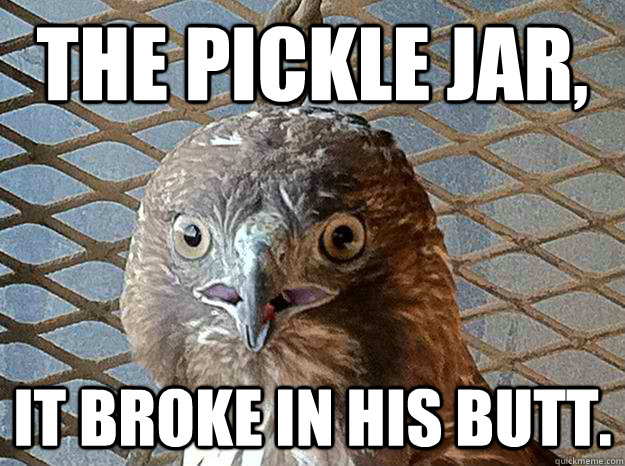 the pickle jar, it broke in his butt.  