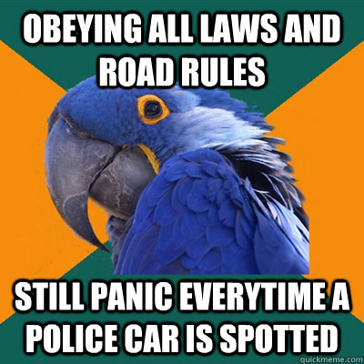 obeying all laws and road rules still panic everytime a police car is spotted  Paranoid Parrot