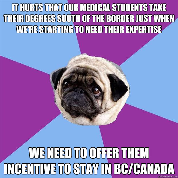 It hurts that our medical students take their degrees south of the border just when we're starting to need their expertise We need to offer them incentive to stay in BC/Canada  Lonely Pug