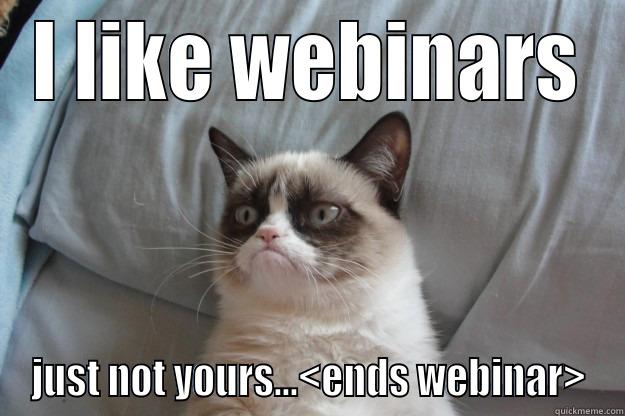I LIKE WEBINARS JUST NOT YOURS...<ENDS WEBINAR> Grumpy Cat