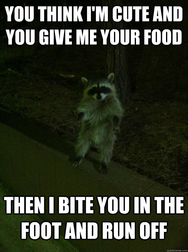 You think I'm cute and you give me your food Then I bite you in the foot and run off  Asshole Raccoon
