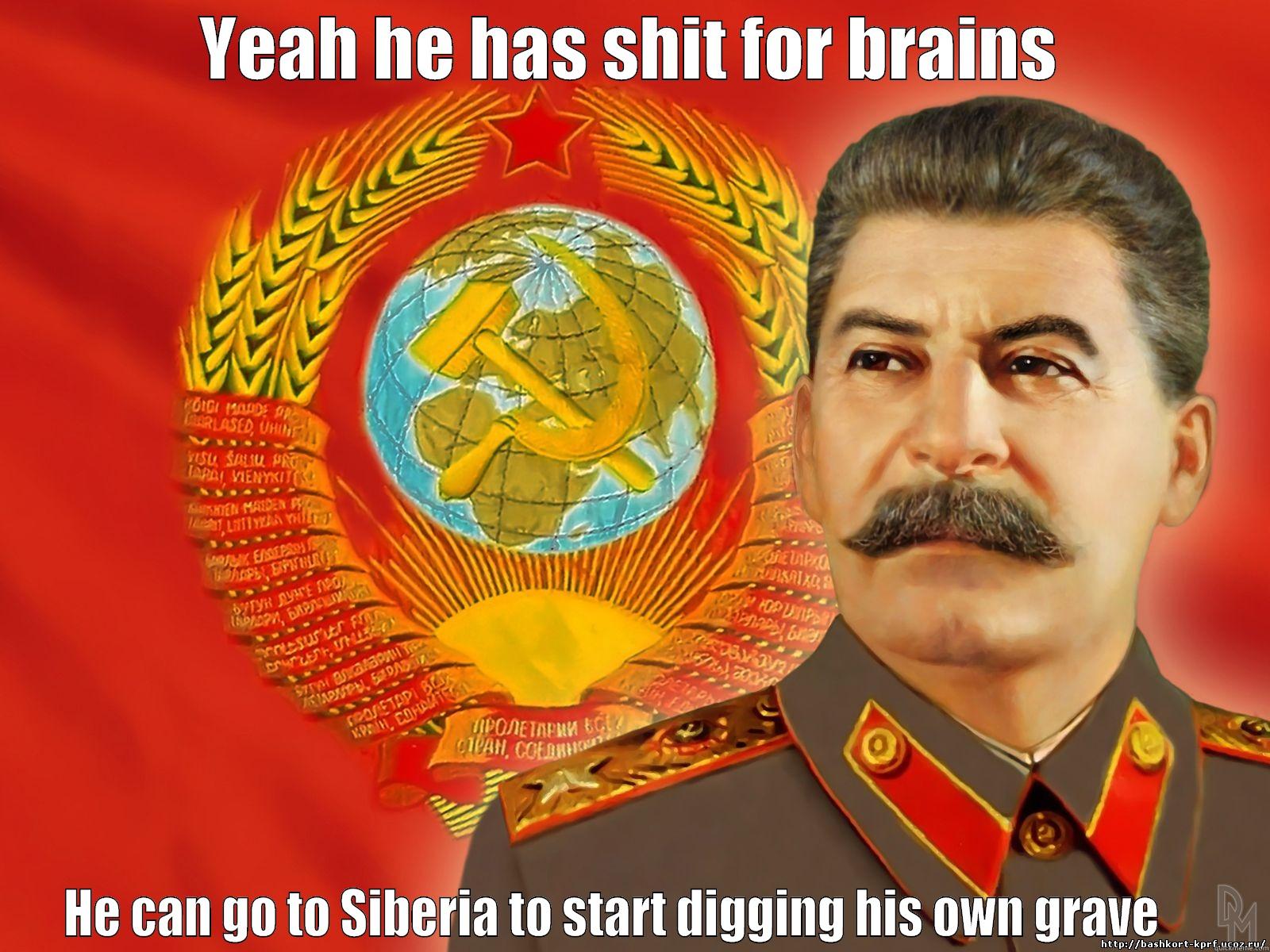 YEAH HE HAS SHIT FOR BRAINS HE CAN GO TO SIBERIA TO START DIGGING HIS OWN GRAVE     Misc