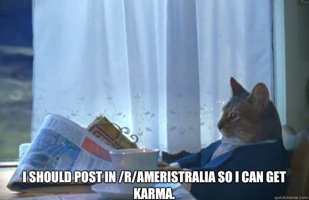  I should post in /r/ameristralia so I can get karma.  Sophisticated Cat
