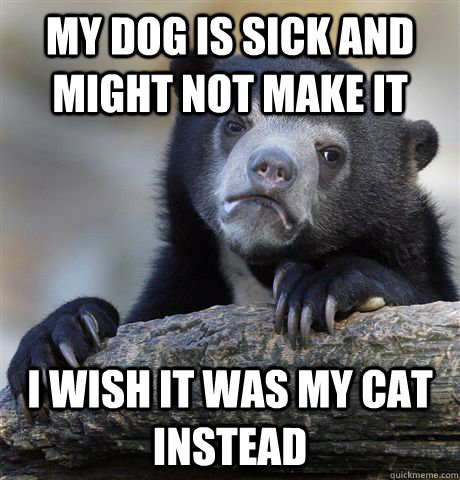 My dog is sick and might not make it I wish it was my cat instead  Confession Bear
