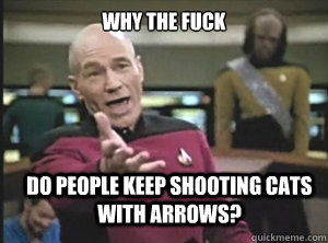 why the fuck do people keep shooting cats with arrows?  Annoyed Picard