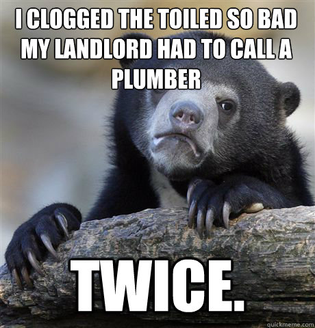 i clogged the toiled so bad my landlord had to call a plumber twice.  Confession Bear