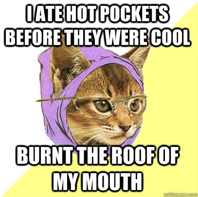 I ate hot pockets before they were cool burnt the roof of my mouth  Hipster Kitty