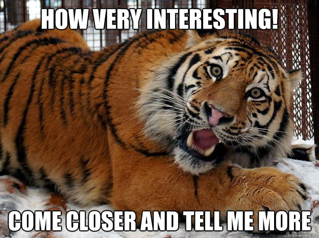 How Very Interesting! Come closer and tell me more - How Very Interesting! Come closer and tell me more  Fascinated Tiger