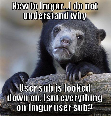 NEW TO IMGUR...I DO NOT UNDERSTAND WHY USER SUB IS LOOKED DOWN ON. ISNT EVERYTHING ON IMGUR USER SUB? Confession Bear