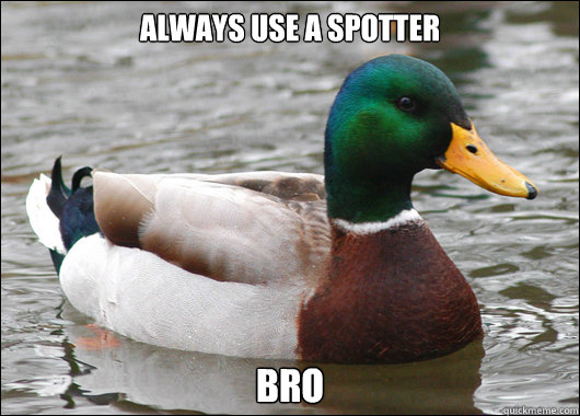 Always use a spotter Bro - Always use a spotter Bro  Actual Advice Mallard