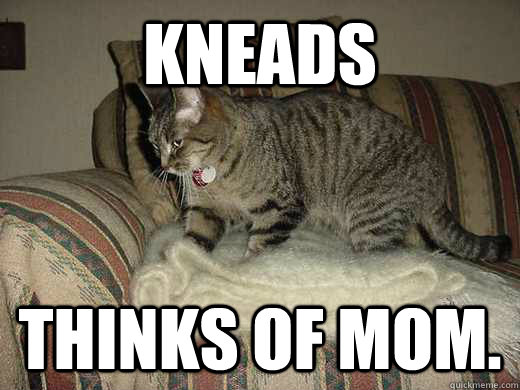 KNEADS THINKS OF MOM.  