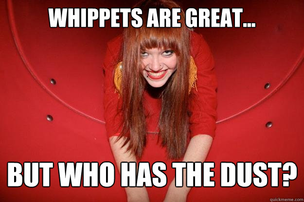 whippets are great... but who has the dust?  