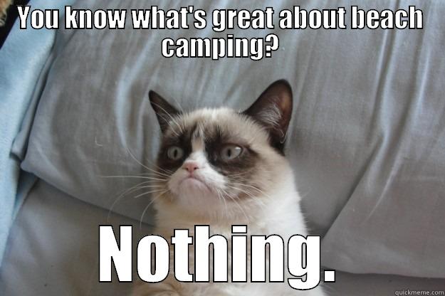 YOU KNOW WHAT'S GREAT ABOUT BEACH CAMPING? NOTHING. Grumpy Cat