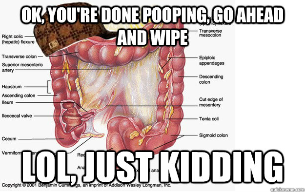 Ok, you're done pooping, go ahead and wipe lol, just kidding - Ok, you're done pooping, go ahead and wipe lol, just kidding  Misc