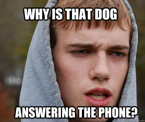 Why is that dog Answering the phone?  
