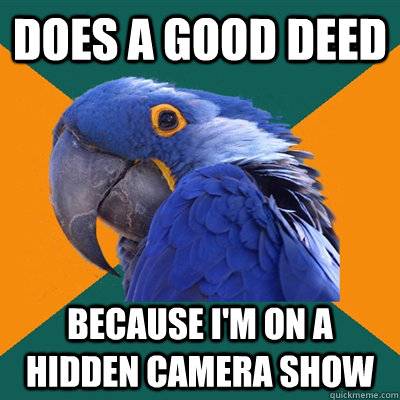 Does a good deed Because I'm on a Hidden Camera Show  Paranoid Parrot