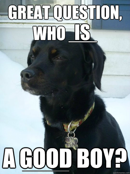 Great question, who ___ a good boy? is ___________  Philosophical Puppy