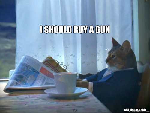 

I should buy a gun yall niggas crazy  The One Percent Cat
