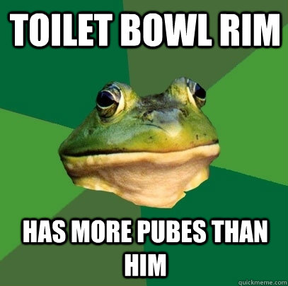 Toilet bowl rim Has more pubes than him  Foul Bachelor Frog