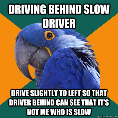 DRIVING BEHIND SLOW DRIVER DRIVE SLIGHTLY TO LEFT SO THAT DRIVER BEHIND CAN SEE THAT IT'S NOT ME WHO IS SLOW - DRIVING BEHIND SLOW DRIVER DRIVE SLIGHTLY TO LEFT SO THAT DRIVER BEHIND CAN SEE THAT IT'S NOT ME WHO IS SLOW  Paranoid Parrot