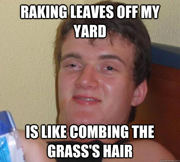 Raking leaves off my yard Is like combing the grass's hair - Raking leaves off my yard Is like combing the grass's hair  10 Guy