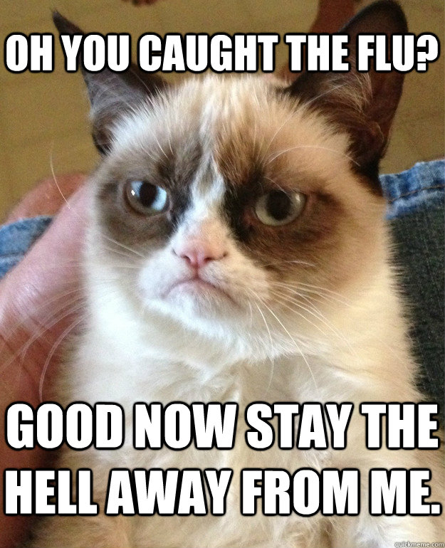 Oh You Caught The Flu? Good Now Stay the Hell Away From ME.  Grumpy Cat