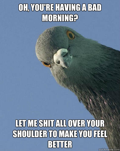 Oh, you're having a bad morning? Let me shit all over your shoulder to make you feel better - Oh, you're having a bad morning? Let me shit all over your shoulder to make you feel better  Angry Pigeon
