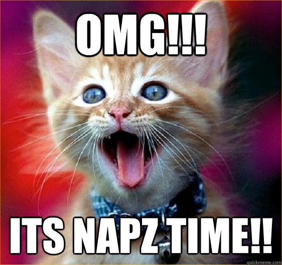 OMG!!! its napz time!!  