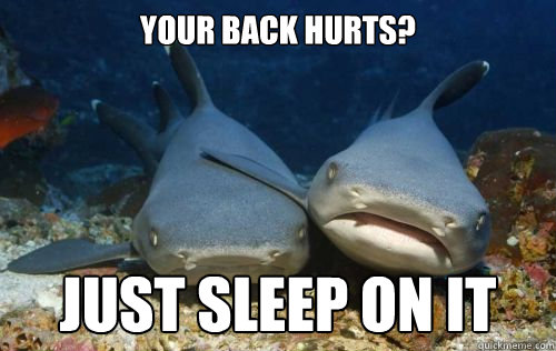 your back hurts? just sleep on it  Compassionate Shark Friend