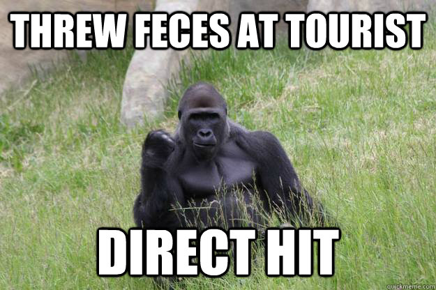 threw feces at tourist direct hit - threw feces at tourist direct hit  Success Gorilla