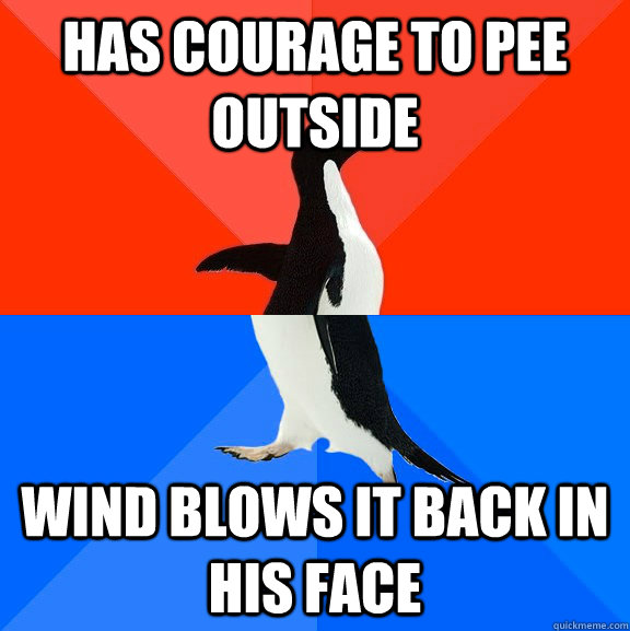 Has courage to pee outside Wind blows it back in his face  Socially Awesome Awkward Penguin