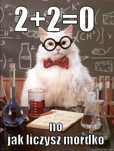 2+2=0 NO JAK LICZYSZ MORDKO Chemistry Cat
