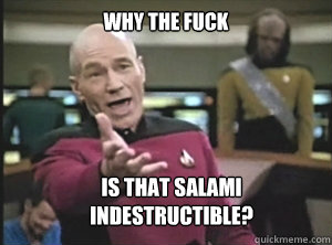why the fuck is that salami indestructible?  Annoyed Picard