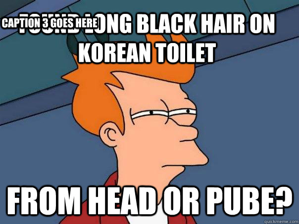 Found long black hair on Korean toilet From head or pube? Caption 3 goes here  Futurama Fry