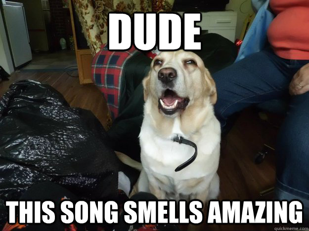 dude this song smells amazing  